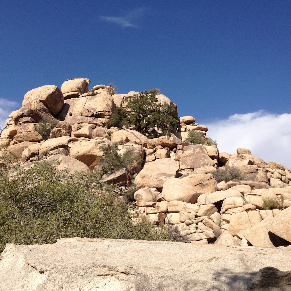 Gneiss formations