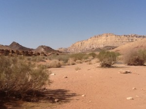 Inside Ramon Crater.