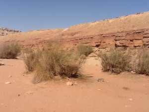 Inside Maktesh Ramon.