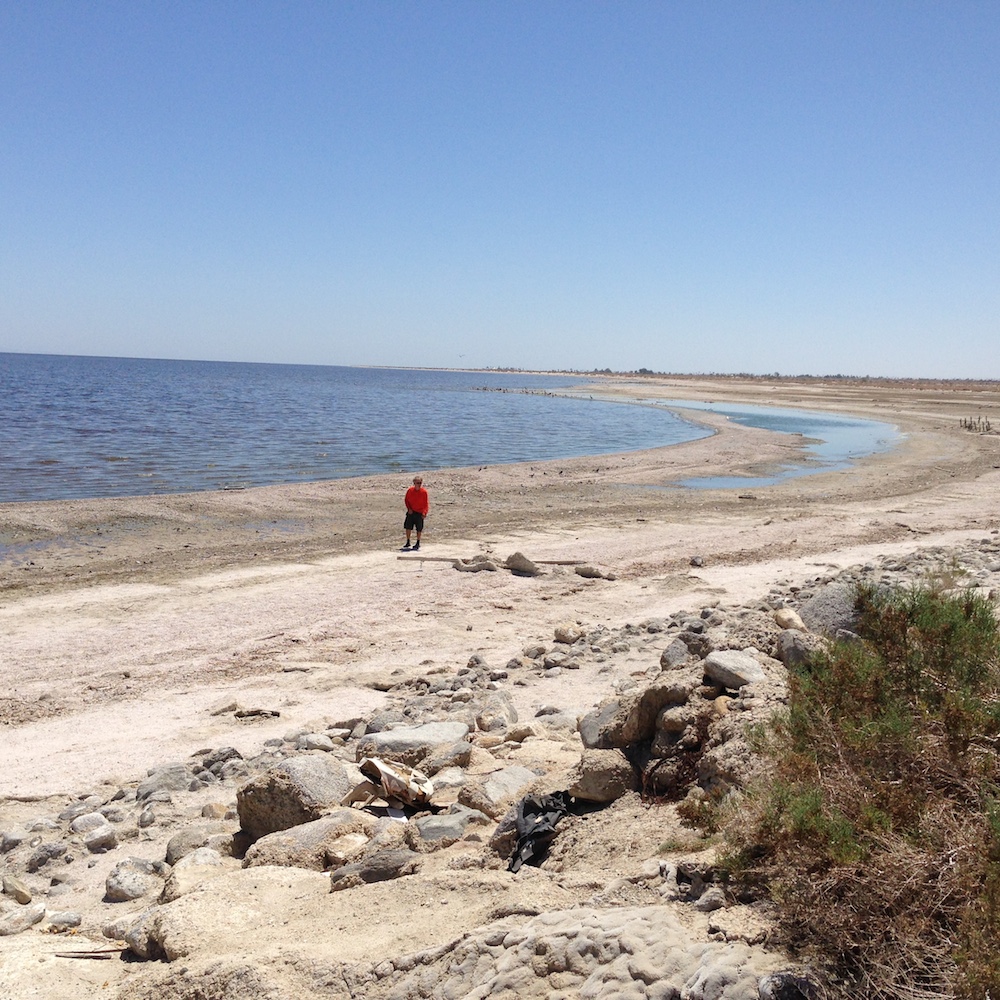 The sad vista of today's Salton Sea.