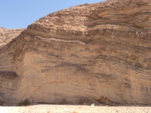 Wadi Omer