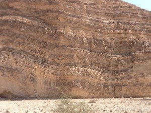 In the Negev Desert.