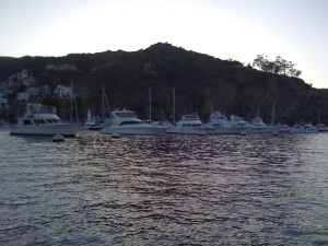 Evening at Catalina.