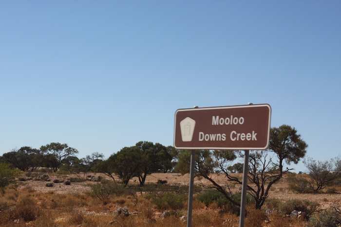 The Mooloo Downs Creek had a few very small pools of water in it.