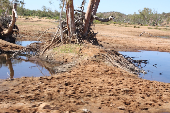 Remnant pools from recent rains.