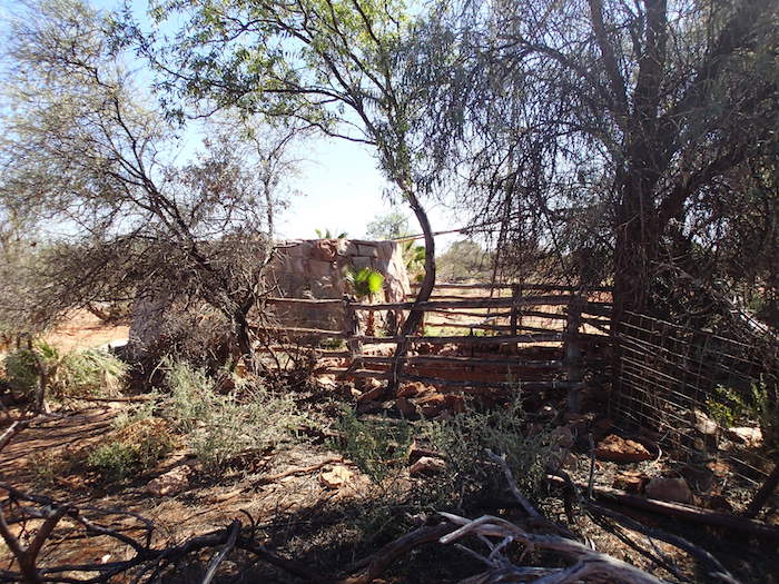 Pinda Well cattle yards.