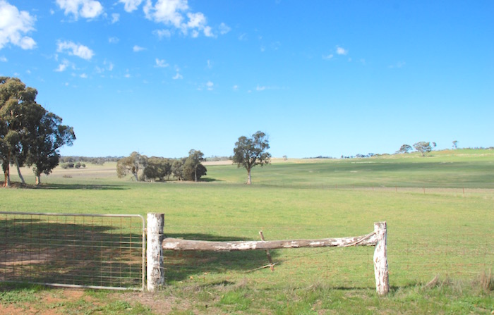 Source of the Avon River.