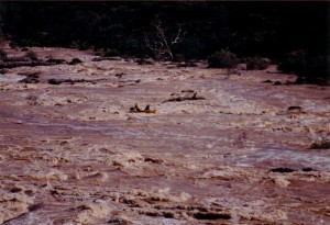 Cameron rescues John.