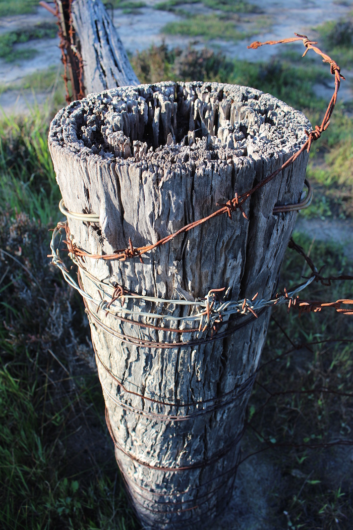 Single twisted barbed wire.