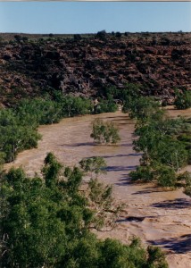 Ross Graham Lookout