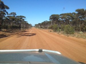 Hyden Norseman Road.