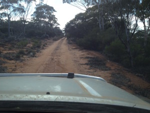 The Balladonia-Norseman telegraph track.