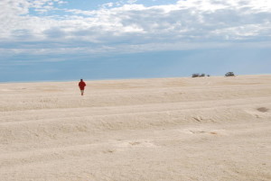 Shell Beach, Shark Bay.