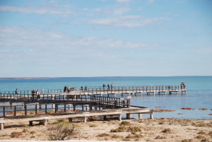 Walkways over the stromatolites.