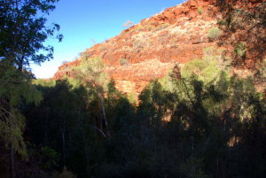 Inside Dales Gorge