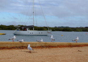 Carnarvon Harbour