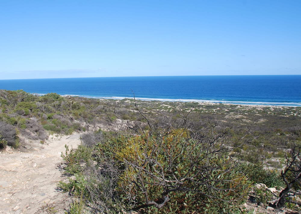 The track to the beach.