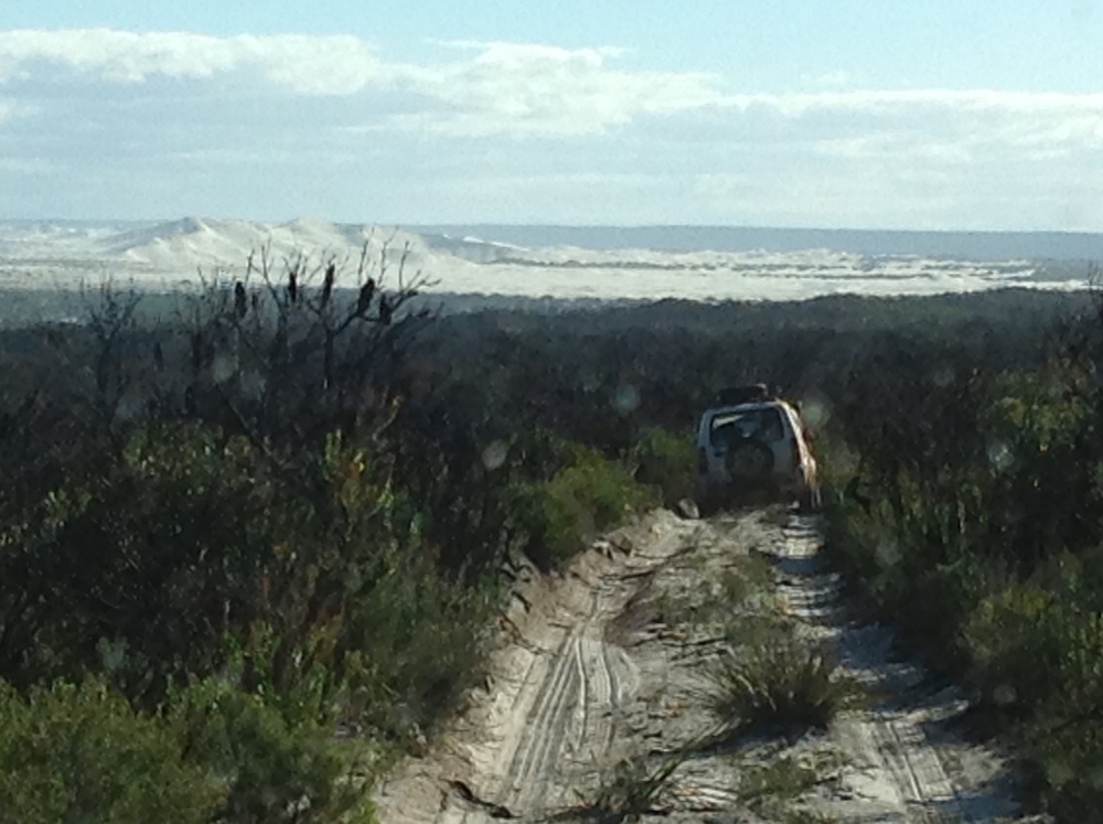 Heading to the Bilbunya Dunes.