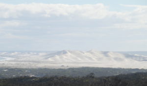 Bilbunya Dunes