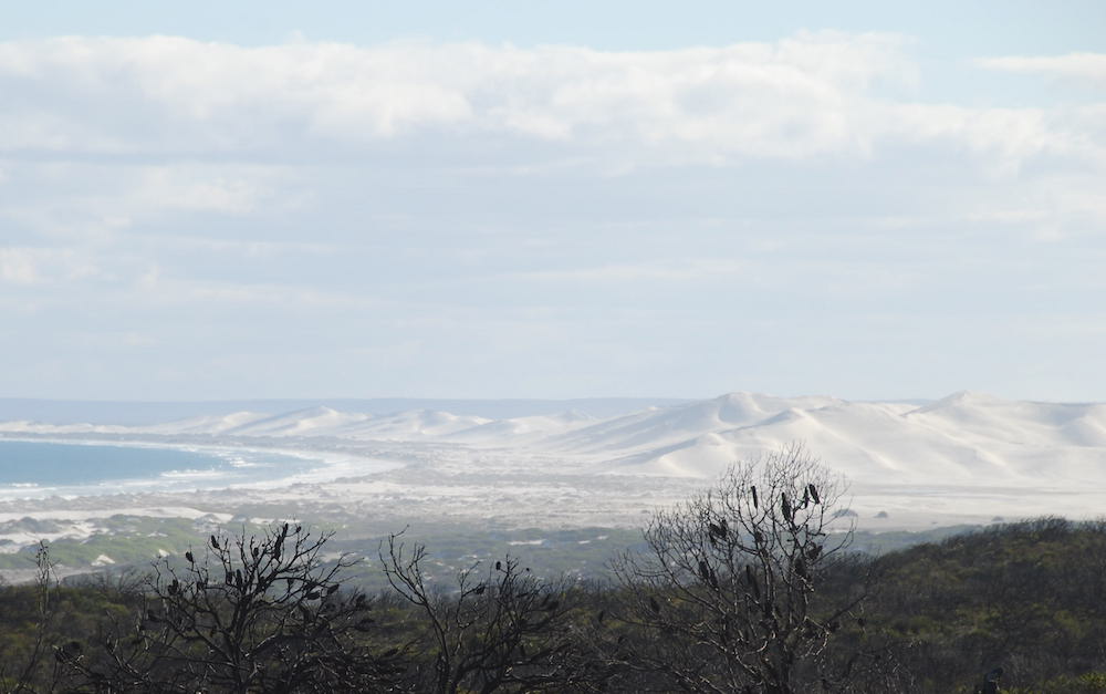 Bilbunya Dunes