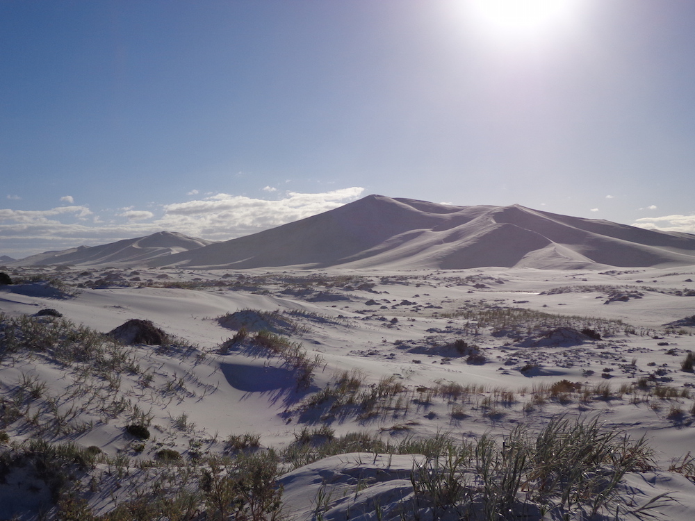 Bilbunya Dunes