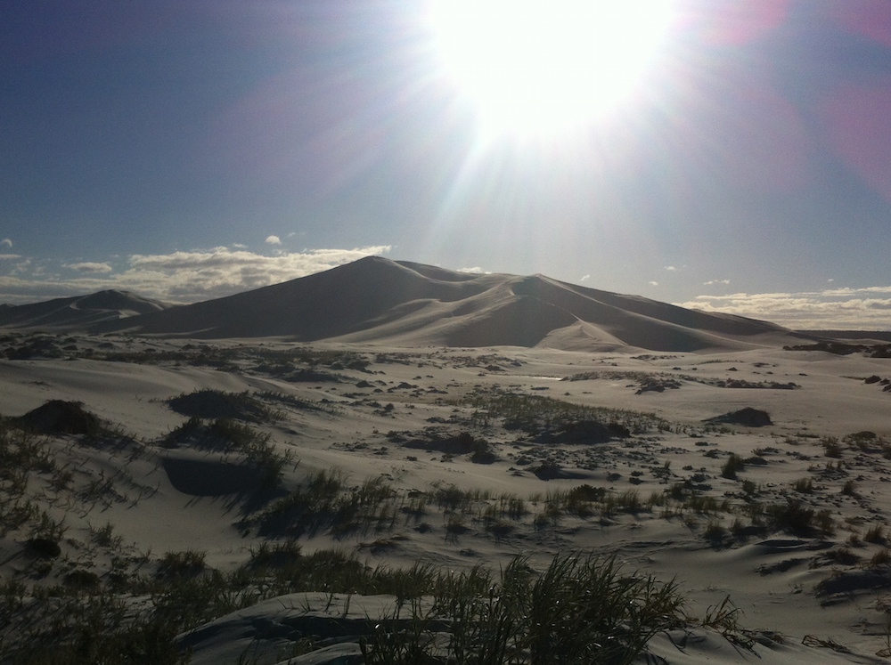 Bilbunya Dunes