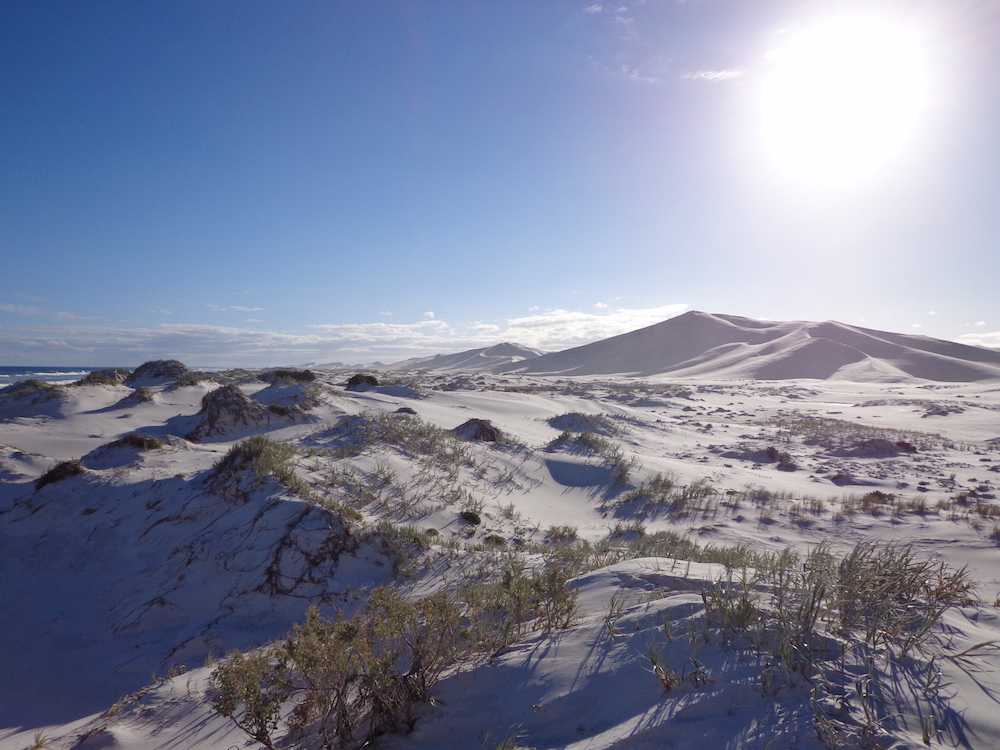 Bilbunya Dunes