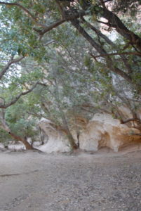 At Windjana Gorge.