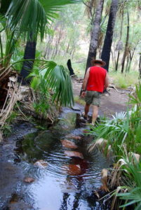 On the track in to Zebedee Springs.