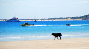 On Cable Beach.