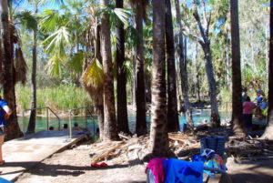 Bitter Springs, Mataranka.