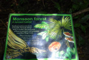 Information about the monsoon forest at Wangi pool