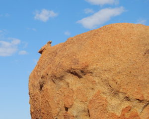 Why it is called Eagle Rock - maybe