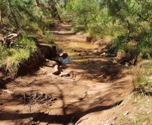 The track into the Running Waters waterhole.