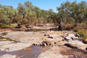 The track into the Running Waters waterhole.