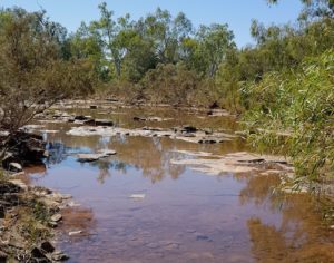 The track into the Running Waters waterhole.