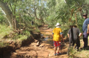 Nick, Phil and Peter on the walk into the waterhole.