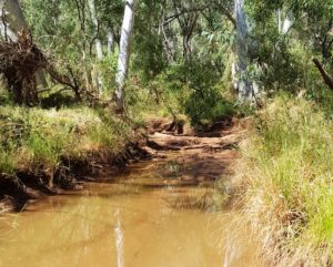 The track into the Running Waters waterhole.