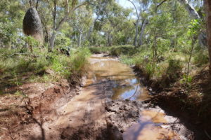 The track into the Running Waters waterhole.