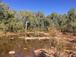 The track into the Running Waters waterhole.