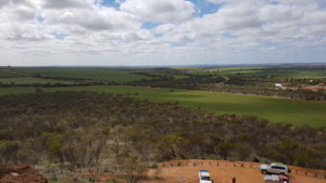 View from Mingenew Hill.