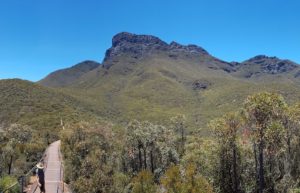 Bluff Knoll as seen from start of walk.