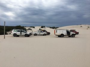 On the dunes.