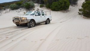 Kerry up onto dunes.