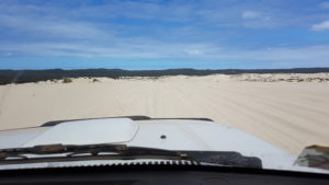 On the designated track through the dunes.