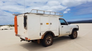 Kim's Patrol on Yeagarup Dunes.