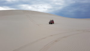 Scott on dunes.