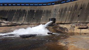 The scouring of Wellington Dam is mainly to keep the river below it healthy.