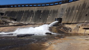 The scouring of Wellington Dam is mainly to keep the river below it healthy.