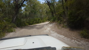 Along the track between the dunes and the beach.